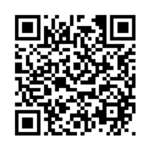 仿佛演化为青龙白虎朱雀玄武的外形二维码生成