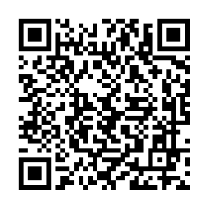 仿佛濒临崩溃的身躯居然也开始重新变得稳固了起来二维码生成