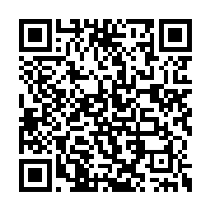 仿佛照亮了整个宇宙的白色火光也忽然爆发出来二维码生成