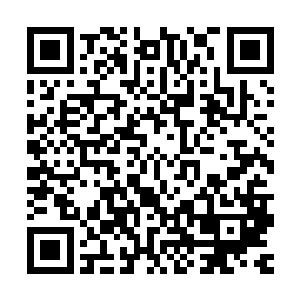 仿佛燃起了一丝爱国心理――不过他们谁都不是五月花号的乘客二维码生成