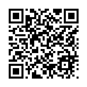 仿佛生于这片七种花草中的丝涤风信二维码生成