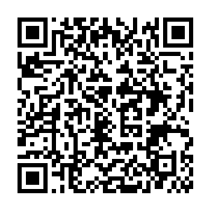 仿佛由无数野兽怪物缝合而成的巨兽也忽然出现在了波塞冬的身后二维码生成