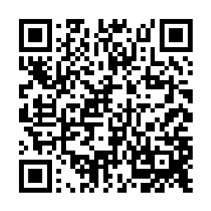 仿佛看到了王祖生小时候要东西要不得哭闹的样子二维码生成