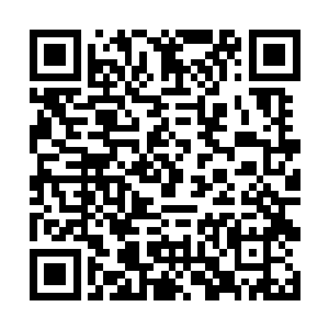 仿佛看到自己正将伊莎贝拉那修长的身子压在地板上二维码生成