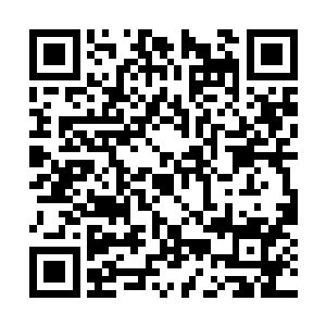 仿佛眼前二十几名手持砍刀的混混根本不存在一般二维码生成
