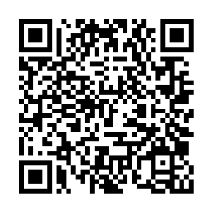 仿佛知道张潇晗一定会要也不稀罕那些仙石似的二维码生成
