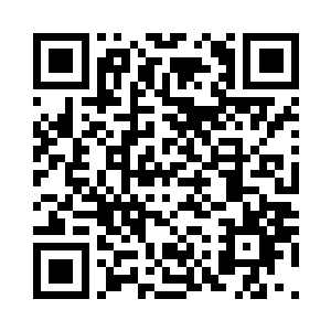 仿佛自己刚刚忘记了无比重要的东西二维码生成