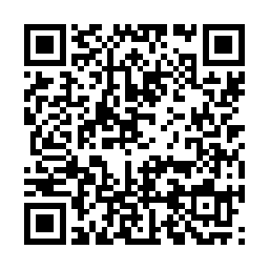 仿佛自己真的变成了一只手脚都有黏性的巨大爬虫二维码生成