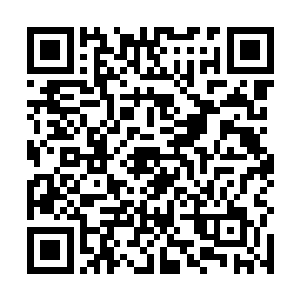 仿佛蕴含着无尽怒火和怨恨的声音也响彻了整个城主府二维码生成