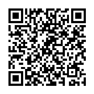 仿佛融化在虚空当中的黑色獠牙也不断在雷林身体周围浮现二维码生成