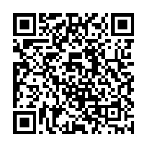 仿佛被一根根微不足道的细针给轻轻的扎了一下一样二维码生成