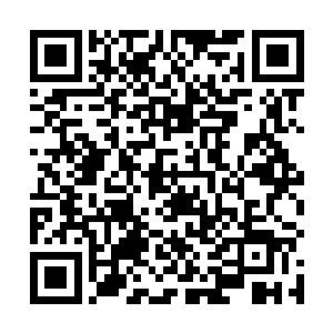 仿佛被孙子轩的右手五指的律动完全吸引了所有注意力二维码生成