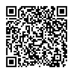 仿佛还是当日在郭药师军中当着假子时那个爽快明朗的郭大郎形象二维码生成