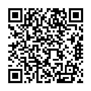 仿佛这一只裂风狼王的实力得到了进一步的进化了似的二维码生成