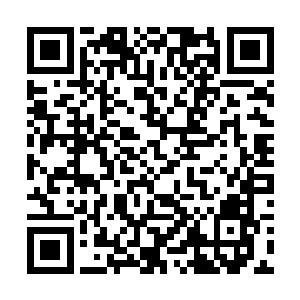 仿佛长了翅膀跟着那辆载着罪魁祸首的迈巴赫飞走了二维码生成