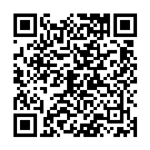 仿佛龙傲天的动作激发了周围的血狱怪物的嗜血的本性二维码生成