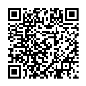 仿若被压抑了无数年的怨气在这一刻突然得到了释放二维码生成