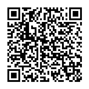 仿若遨游海洋世界的美人鱼女皇――就是这条鱼的身材太火爆了一些二维码生成