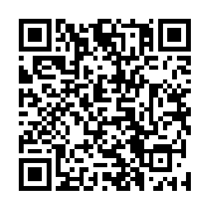 企图寻找到那件让帝佛老祖都为之动心的宝贝的蛛丝马迹二维码生成