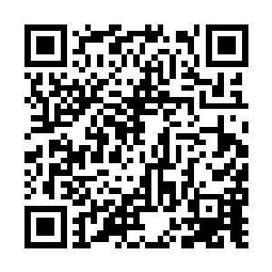 伊万推荐这个酒吧对面的山头的确很有高瞻的意义二维码生成