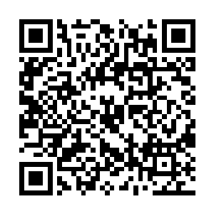 伊丽萨还在拿着那几张专利文件反过来掉过去的看二维码生成