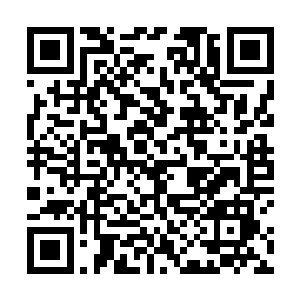 伊伊很是费了一番口舌才让这一千五百个豆兵放下武器二维码生成