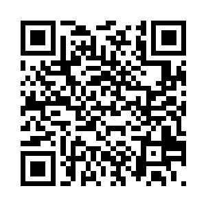 伊布必须承担起守护这片土地的责任二维码生成