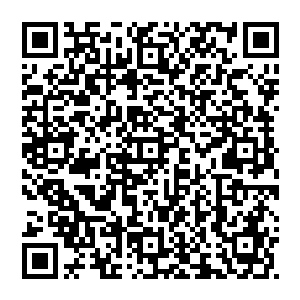 伊布拉希莫维奇在上一轮联赛里刚刚用一个脚后跟进球帮助曼城击败了切尔西……现在荣又进了一个脚后跟……二维码生成