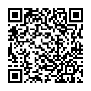 伊布拉希莫维奇对于这一脚飞铲并没有什么要辩解的二维码生成