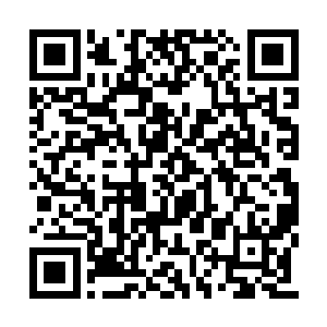 伊布拉希莫维奇将国际米兰的整条防线都给过了二维码生成