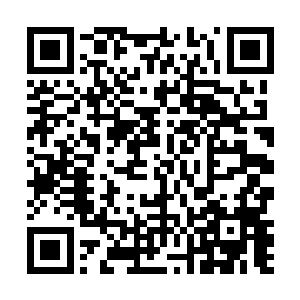伊布拉希莫维奇攥紧了拳头……如果荣光不是他的队友二维码生成