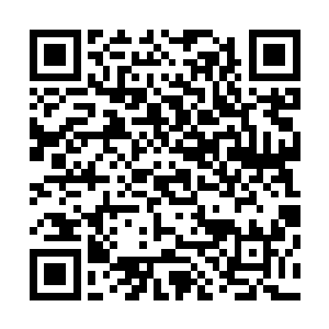 伊布拉希莫维奇被罚出场……这下曼城这场比赛难踢了……二维码生成