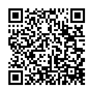 伊布拉希莫维奇认为自己在保姆助攻上是完胜了荣光的二维码生成
