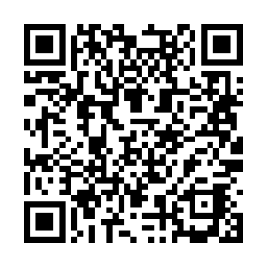 伊布果断对他使用了一个传奇领域才能拥有的能力二维码生成