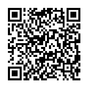伊布殿下……吾王……其实是非常爱你的啊……二维码生成