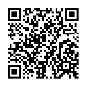 伊布自己都说让自己有空可以去石巨人领地看他了二维码生成