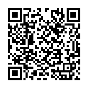 伊布趁着厄尔在一个岛屿上休息的时候发动了突袭二维码生成