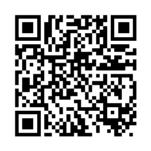 伊布需要时间从知识罗盘的禁锢中挣脱出来二维码生成