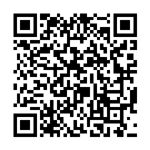 伊普西龙……以及机器人a同样偷偷摸摸的推开了门二维码生成