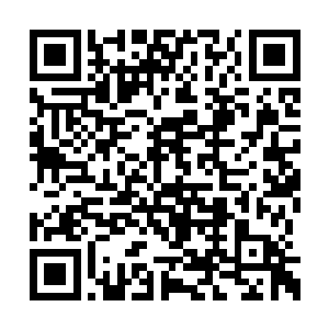 伊月上班这么多年的钱从来没有向家里交过一分二维码生成