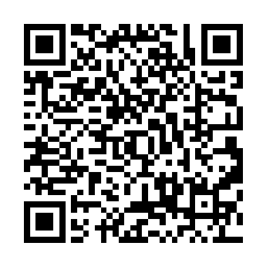 伊芙琳也暂时顾不上阻拦那冲在最前面的愤怒和白骨天使了二维码生成