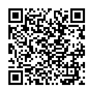 伊芙琳几乎比任何人都明白这三艘精灵之舟的强大二维码生成