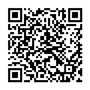 伊莎贝拉从赵纯良的眼里看到了一切　她微微一笑　说道　二维码生成