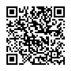 伊莎贝拉那原本还算沉稳的心境立刻就遭到了破坏二维码生成