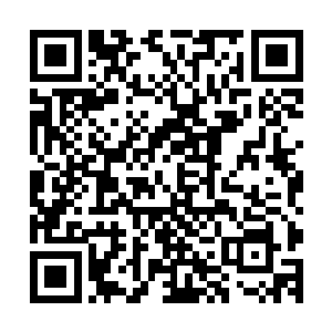 伊诺会找你来问我唯一的可能就是他知道了我和切萨雷的矛盾二维码生成