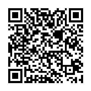 伊贺流五行遁术传说练成之后有金木水火土五行遁法二维码生成