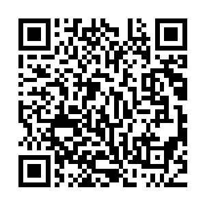 伏在大厅西北侧一部巨大报废机器顶部的两个枪手几乎看傻了眼二维码生成