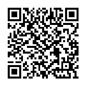 伏羲亦吞噬了刚刚从李耀神魂上扯下的信息碎片二维码生成