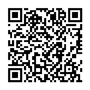 伏青肯定将大殿内的人给轰出去餐风露宿折腾去二维码生成