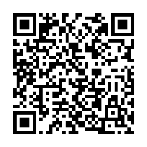 伏魔山三大化灵境和众多半步化灵的强者组成阵法二维码生成